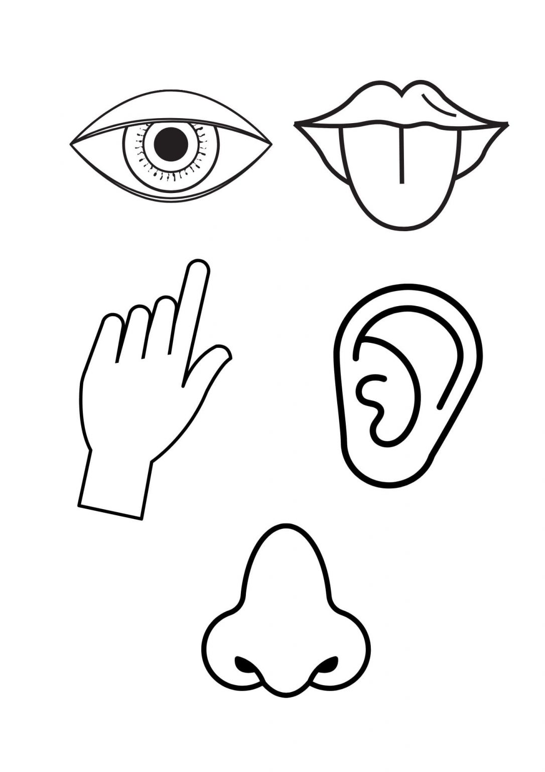 Five Senses Coloring Pages (Free + Printable)