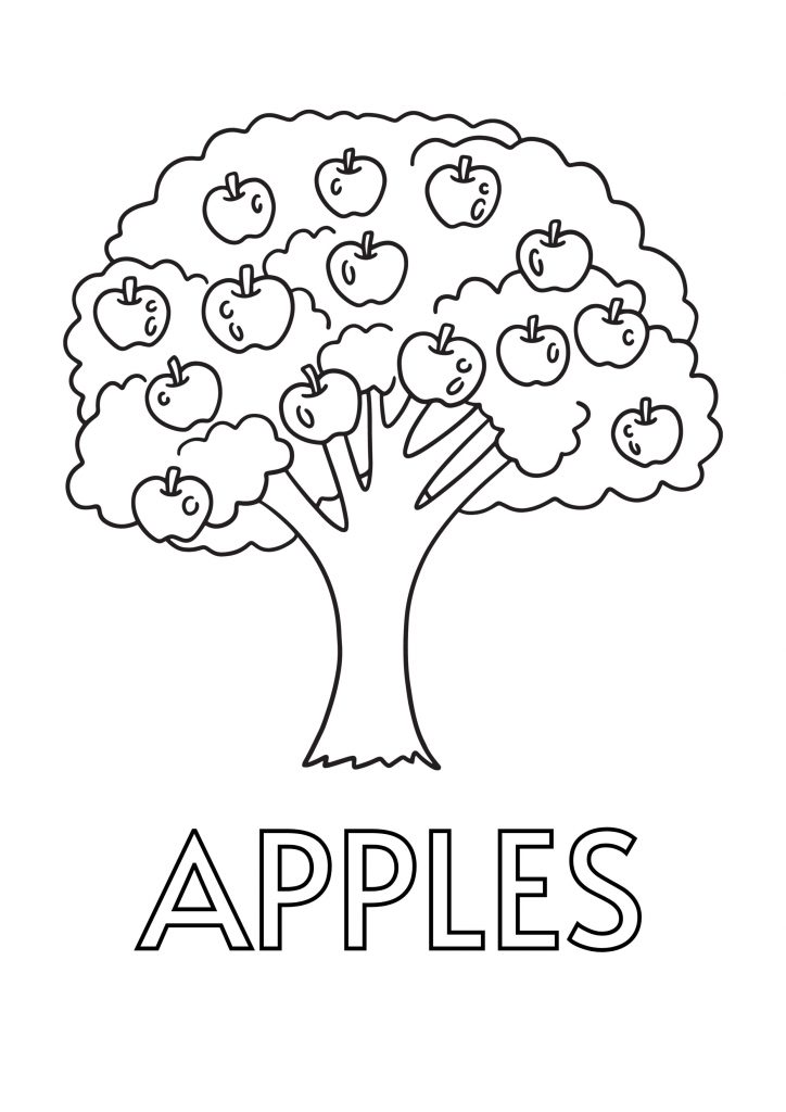 Apple Color Sheet (Free + Printable) | Kokoprint.com