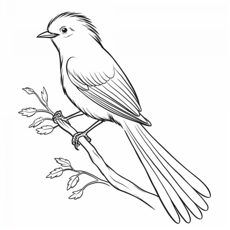  Vögel Ausmalbilder (100% Kostenlos zum Ausdrucken) - Kokoprint.com Illustration 