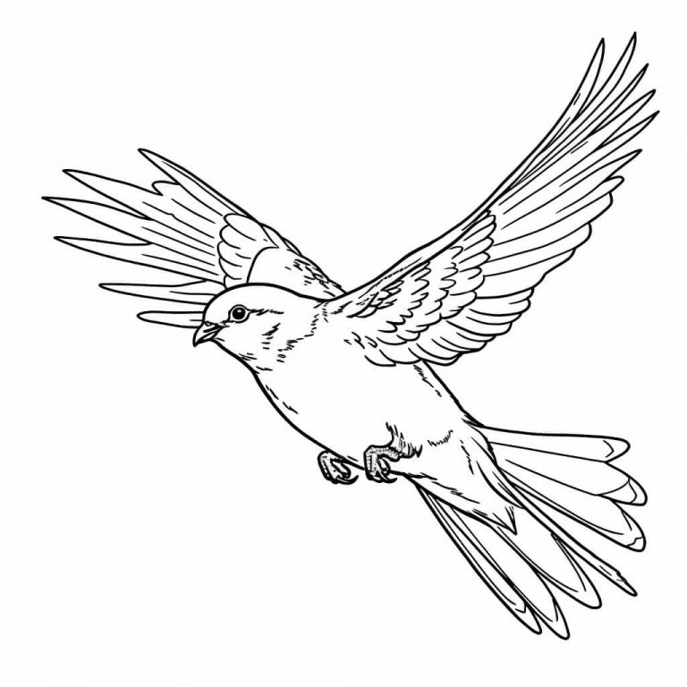  Vögel Ausmalbilder (100% Kostenlos zum Ausdrucken) - Kokoprint.com Illustration 