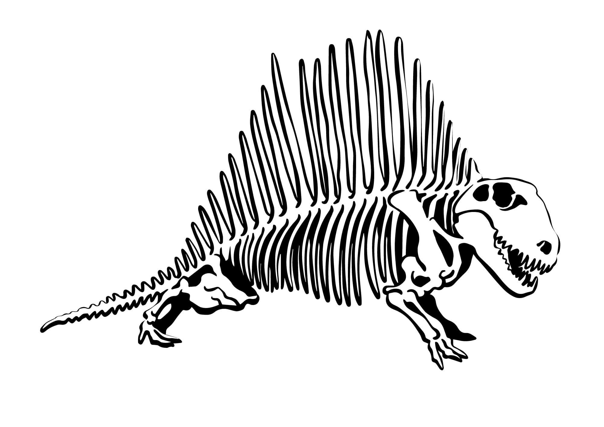 Dimetrodon pictures to color (Free + Printable)