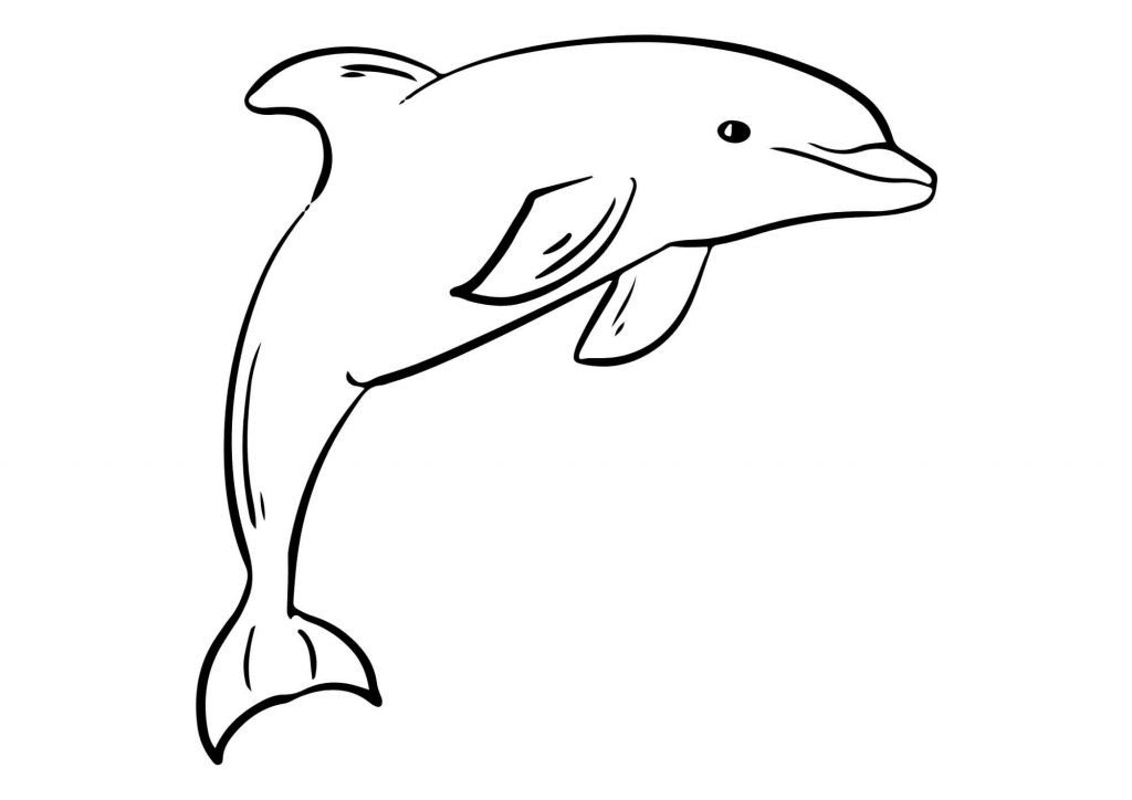 Dolphin Color Sheets (Free & Printable)