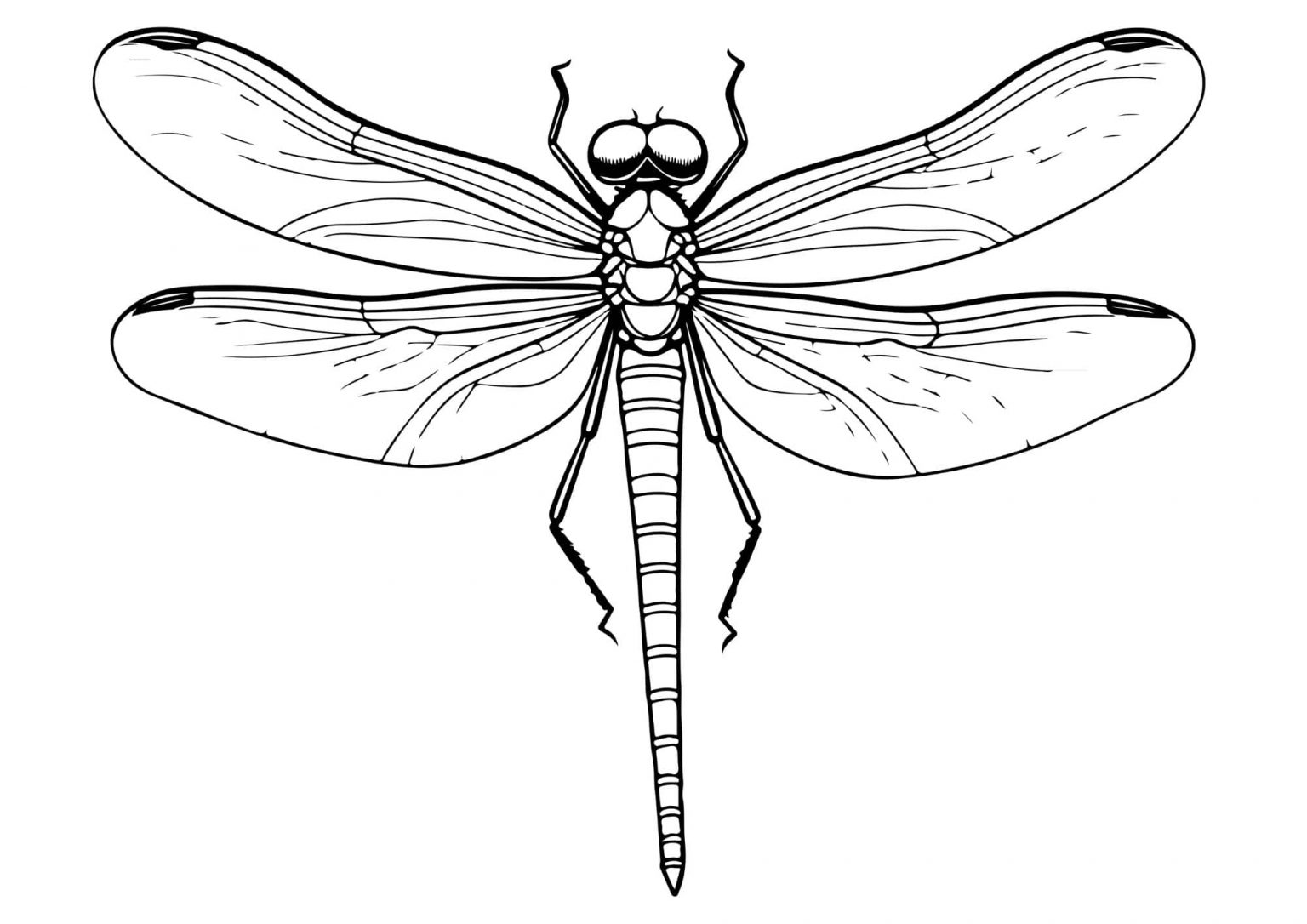 Libelle Ausmalbilder (100% Kostenlos zum Ausdrucken) - Kokoprint.com Motiv 