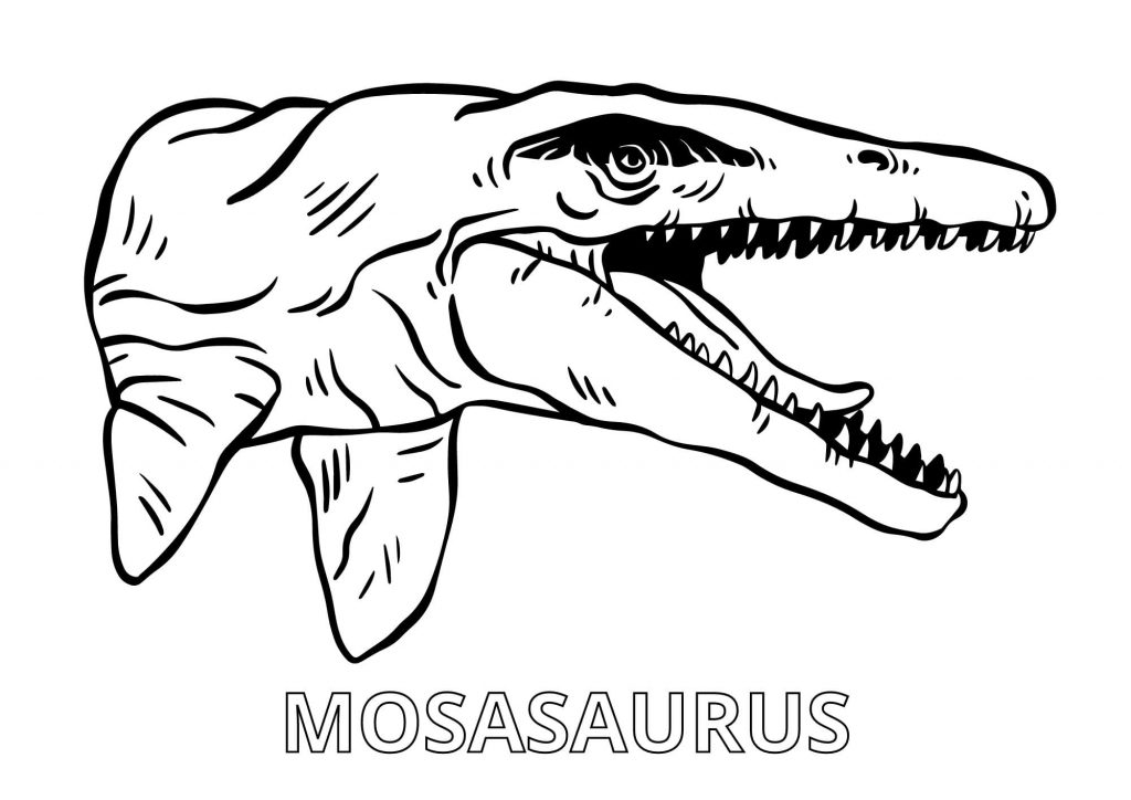 Mosasaur pictures to color (Free + Printable)