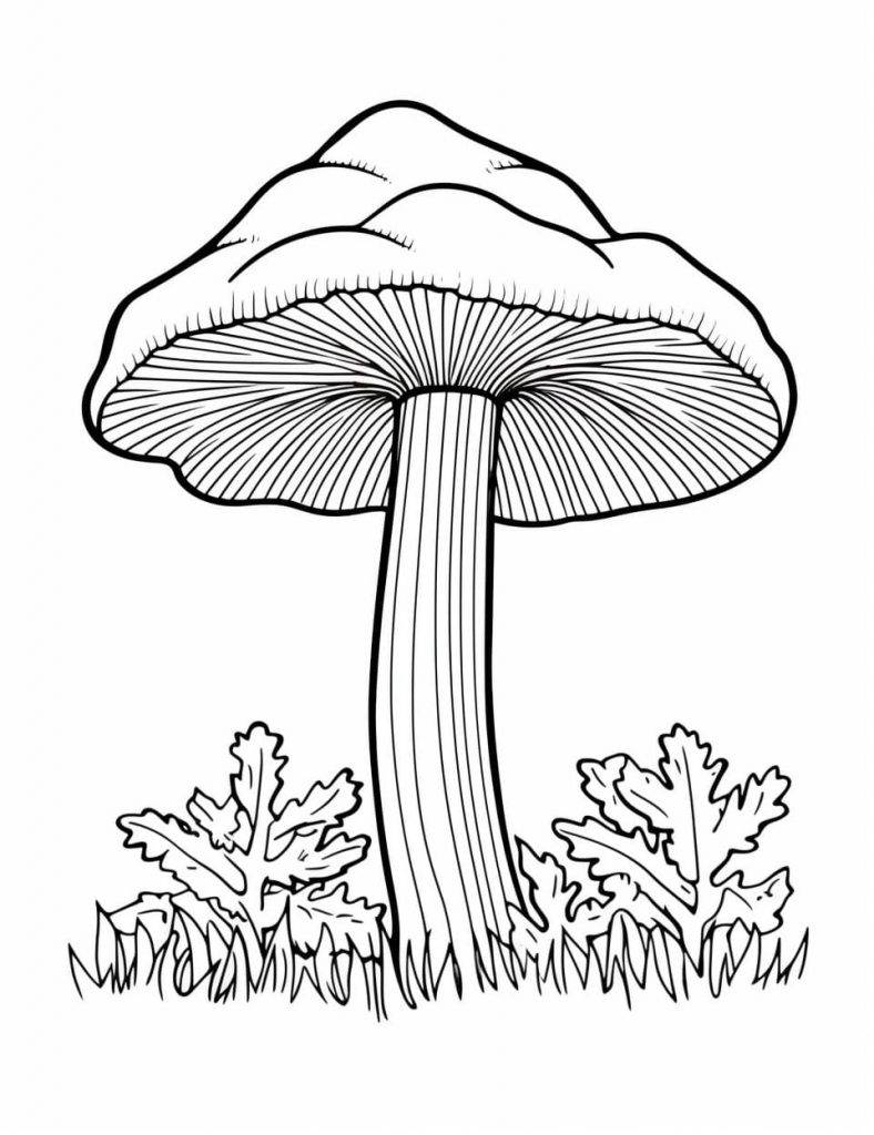  Pilz Ausmalbilder (100% Kostenlos zum Ausdrucken) - Kokoprint.com 