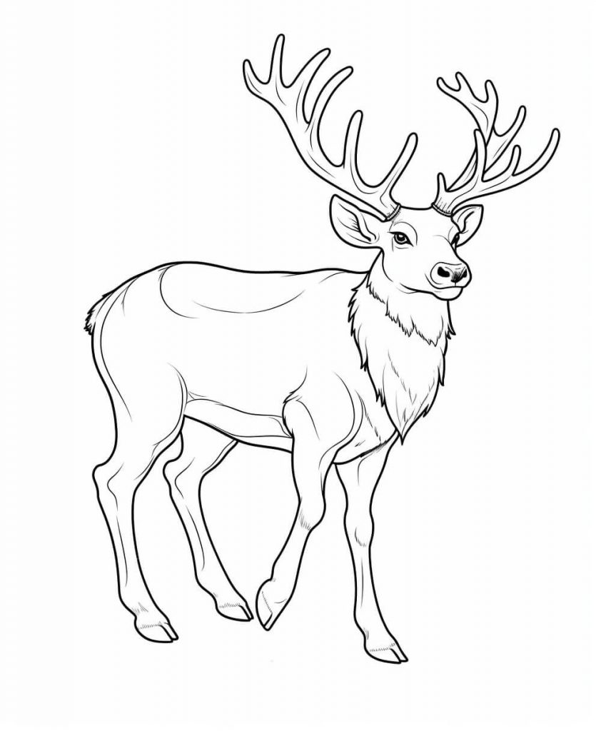 Reindeer Color Sheets (Free & Printable)