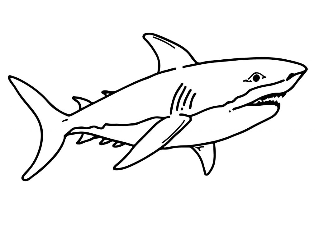 Sea creatures Color Sheets (Free + Printable) | Kokoprint.com