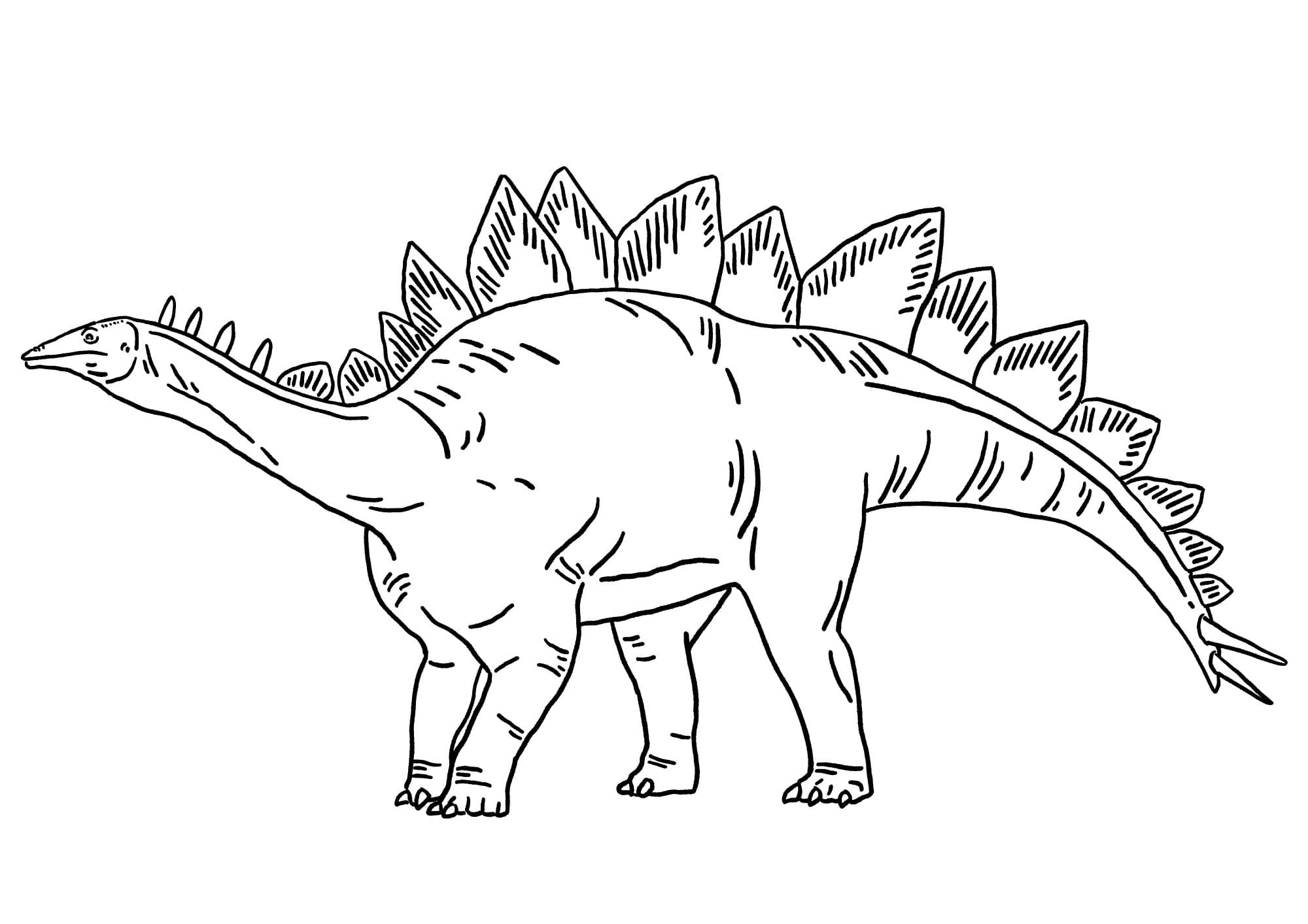 Stegosaurus pictures to color (Free + Printable)