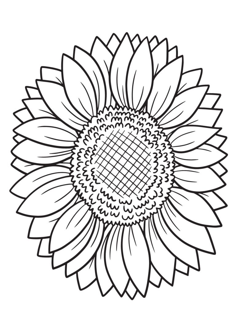 Sunflower Colouring Sheets (Free Printable) Kokoprint com