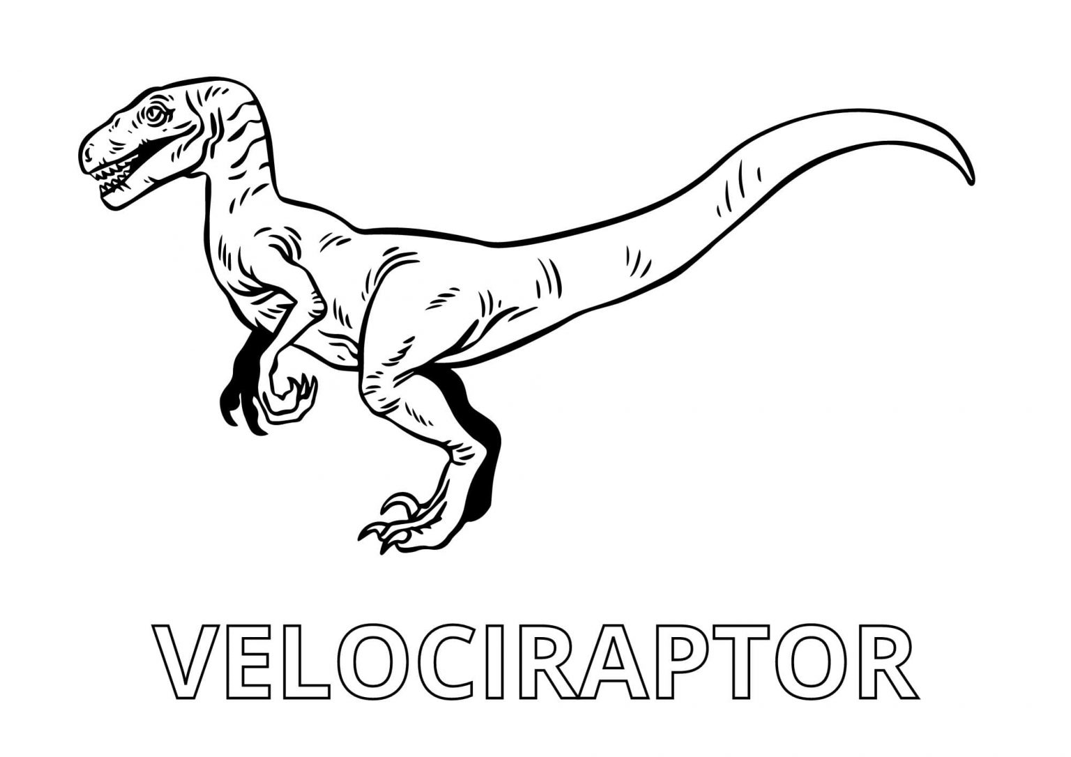 Velociraptor pictures to color (Free + Printable)
